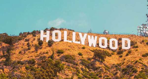 Полиция сняла с вывести Hollywood мужчину, рекламировавшего токен