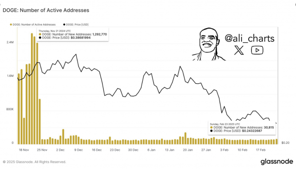 Активность Dogecoin в сети упала на 95% — грядут проблемы?