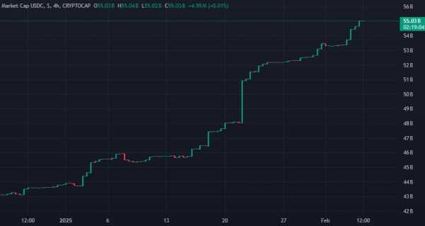 Компании Tether и Circle выпустили стейблкоины на $8,5 млрд с начала 2025 года