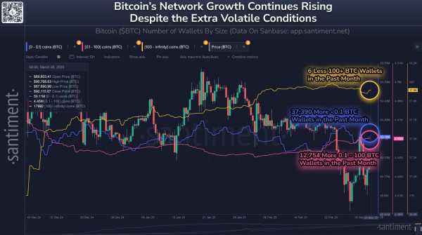 Биткоин выше $90 000: сможет ли BTC продолжить рост