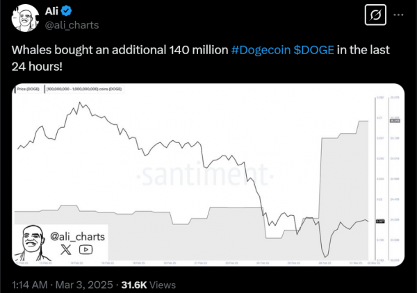 Какой прогноз биткоина дают инвесторы сегодня