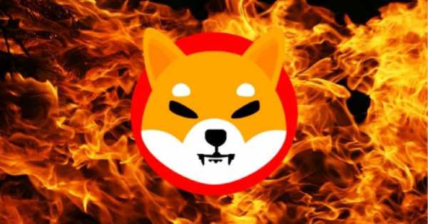 Дуэли в игре Shiba Eternity ускорят сжигание мемкоинов Shiba Inu