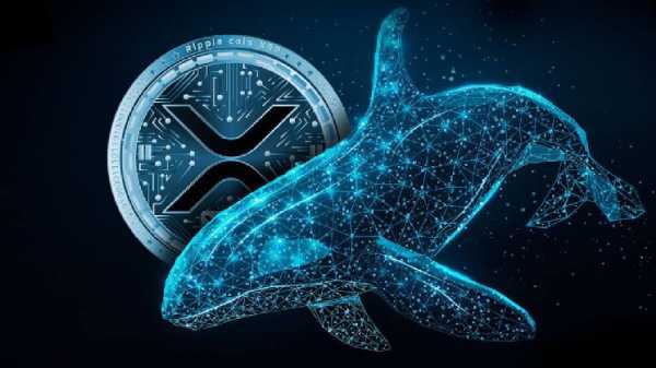 Скорость, с которой криптокиты прощаются с XRP, достигла максимума