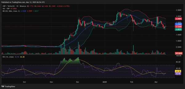 
                    Рост биткоина и возможный запуск ETF поднял цену XRP почти на 4%                