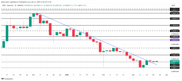 Shiba Inu движется за биткоином (BTC): что будет с ценой SHIB