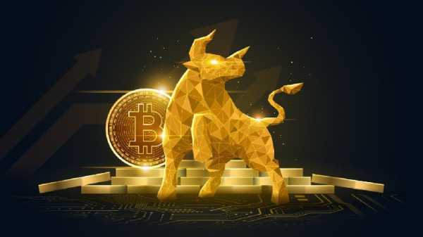Bitcoin Tsunami: Стратегия добавляет еще 22,048 монет, активы взлетают до 528,185 BTC