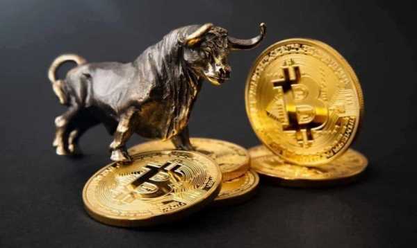 
                    Члены криптосообщества прогнозируют рост курса биткоина в марте                