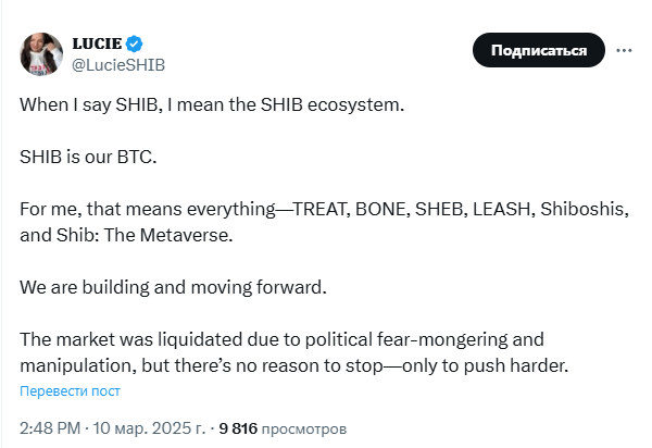 
                    SHIB — наш биткоин, считают в команде мемкоина Shiba Inu                