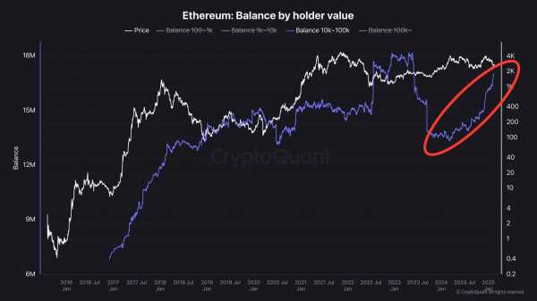 Ethereum: эксперты сравнивают ETH с Amazon и Microsoft