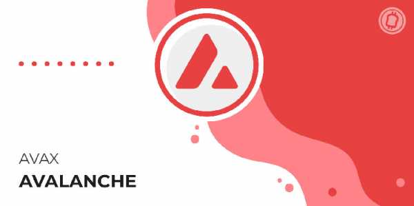 Почему пользователи массово переходят на Avalanche?