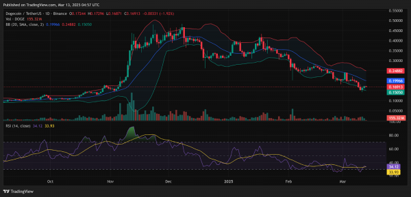 Цена DOGE на 14 марта: может ли поддержка $0,16 спровоцировать рост до $0,25?