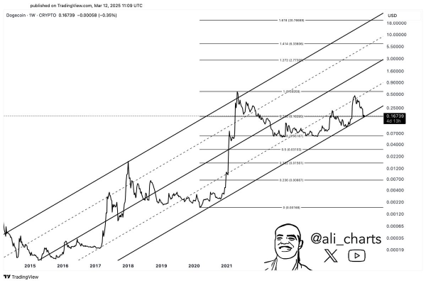 Цена DOGE на 14 марта: может ли поддержка $0,16 спровоцировать рост до $0,25?