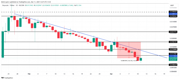 Цена Onyxcoin (XCN) упала на 22+%: киты сократили запасы