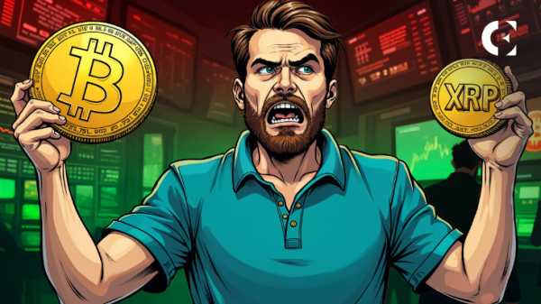 Bitcoin Maxi Пьер Рошар разжигает криптовалютную вражду, призывая армию XRP «сдаться»
