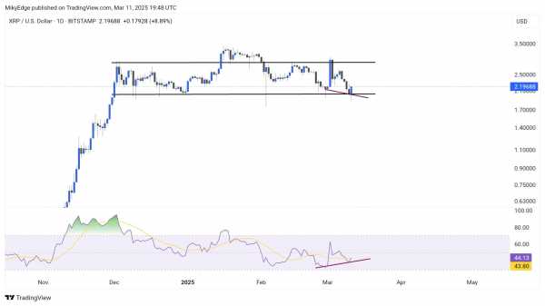 Аналитики рынка с ожидают подачи заявки BlackRock на XRP ETF и одобрения SEC