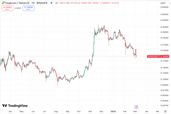 NYSE Arca подала заявку в SEC по листингу Dogecoin-ETF от Bitwise