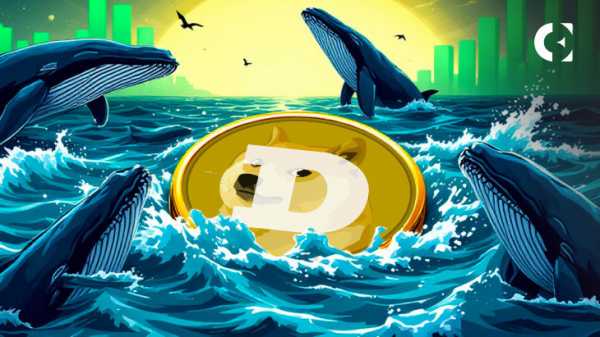 Возвращение Dogecoin? Киты накапливаются, поскольку графики сигнализируют о потенциальном ралли