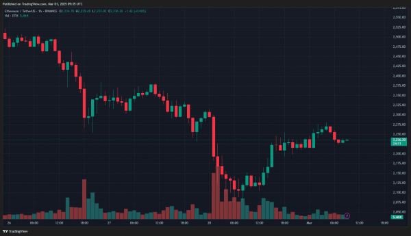 Биткоин закрыл февраль с просадкой в 17,4%, Ethereum — 32%