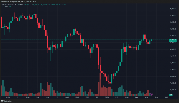 Биткоин закрыл февраль с просадкой в 17,4%, Ethereum — 32%