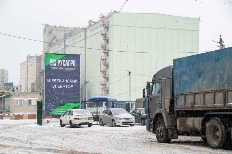 Акции «Русагро» потеряли 30,88% после задержания Мошковича