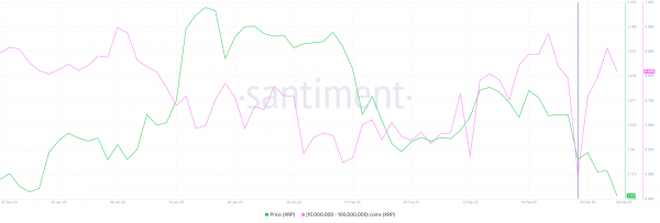 Киты купили Ripple (XRP) на $600 млн. Что будет с ценой