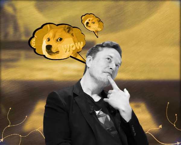 Илон Маск опроверг связь правительства США с Dogecoin