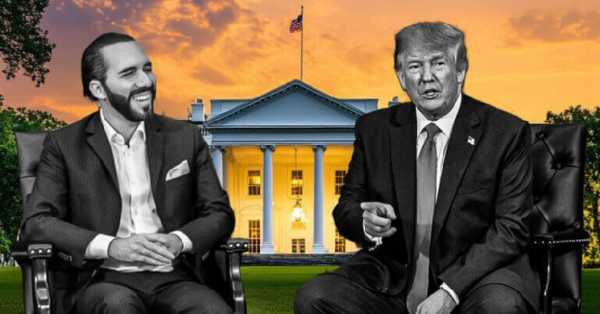 Трамп пригласил Букеле в Белый дом: рынок ждет намеков на обсуждение Биткоина