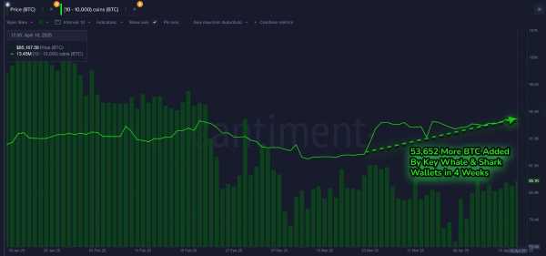 Богатые трейдеры вложили в биткоины $4,6 млрд за четыре недели