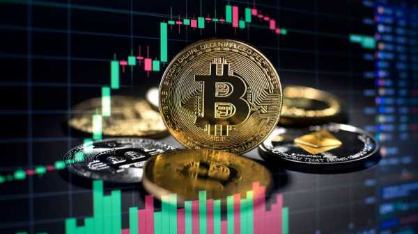 
                    CEO Bitwise: к концу 2025 года биткоин будет стоить $200,000                