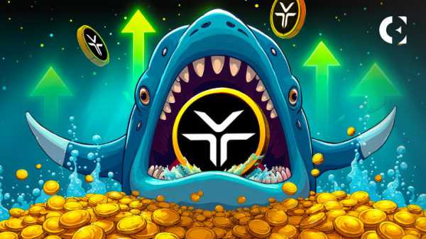 DeXe (DEXE) лидирует среди альткоинов по росту транзакций китов (+340%): Santiment