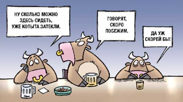 Аналитик: альткоины готовы к ралли, но выиграют немногие