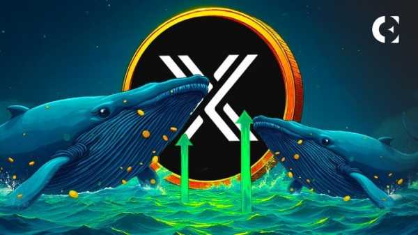 Киты наблюдают: превратит ли $IMX этот скачок в полномасштабное ралли?