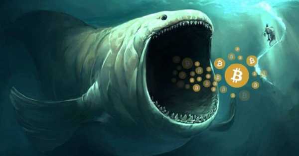 Богатые трейдеры вложили в биткоины $4,6 млрд за четыре недели