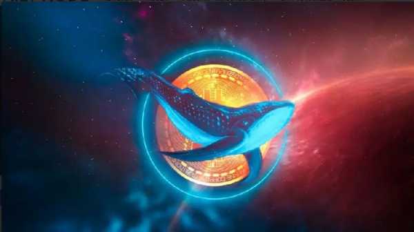 Glassnode: Киты активно закупаются на падении курса биткоина