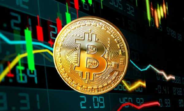 Публичные компании купили 91 781 BTC