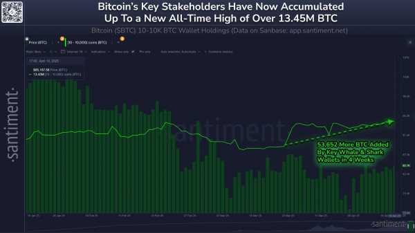 Киты скупили биткоин на $4,7 млрд: цена BTC достигла $87 400