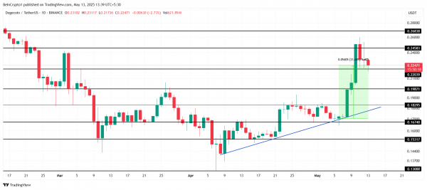 Dogecoin: ралли на 31% было спекулятивным