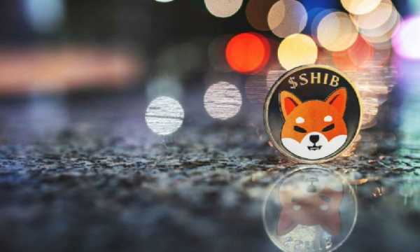 Большинство держателей Shiba Inu (SHIB) несут убытки