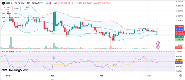 Количество кошельков XRP-китов преодолело отметку в 300 тысяч — на горизонте прорыв?