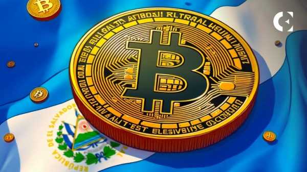 Биткоин-активы Сальвадора превысили $644 млн с общим приростом в 124%