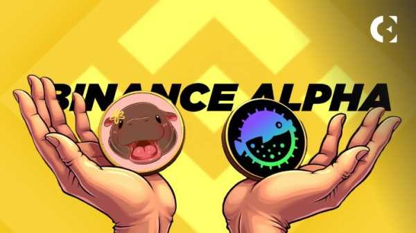 Что ждет $PUFFER и $MOODENG после обзора Binance Alpha?