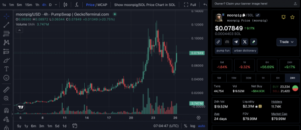 Мемкоин MOONPIG упал на 30% за ночь