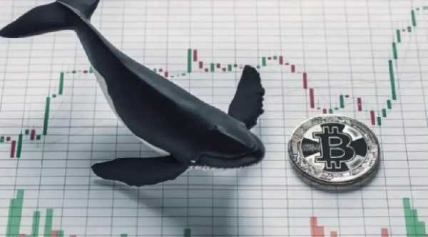 Аналитики CoinDesk зафиксировали изменения в стратегии биткоин-китов