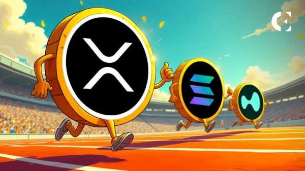 Киты делают ставку на XRP, SOL, HYPE: настоящий сезон альткоинов наконец-то наступил?