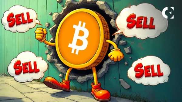 Стены продажи биткоинов: киты обналичивают деньги или расставляют ловушки вблизи исторического максимума BTC?