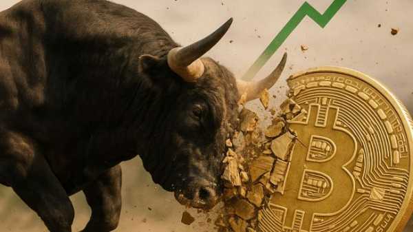 Сезон биткоина в разгаре, альткоины не могут угнаться за BTC