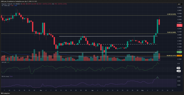 Рост DOGE на 46%