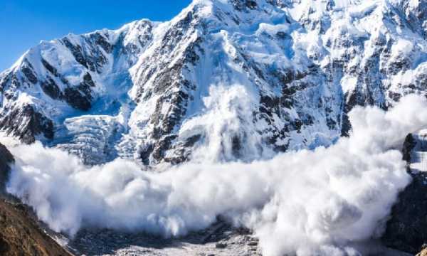 VanEck запустит экосистемный фонд Avalanche