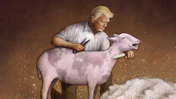 «Я не зарабатываю на мемкоинах… хотя, постойте, я не проверял» — Трамп запутался в собственных токенах