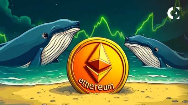 Цена Ethereum упала на 10%, но данные блокчейна показывают, что киты знают что-то важное